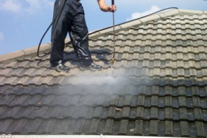 roof-cleaning